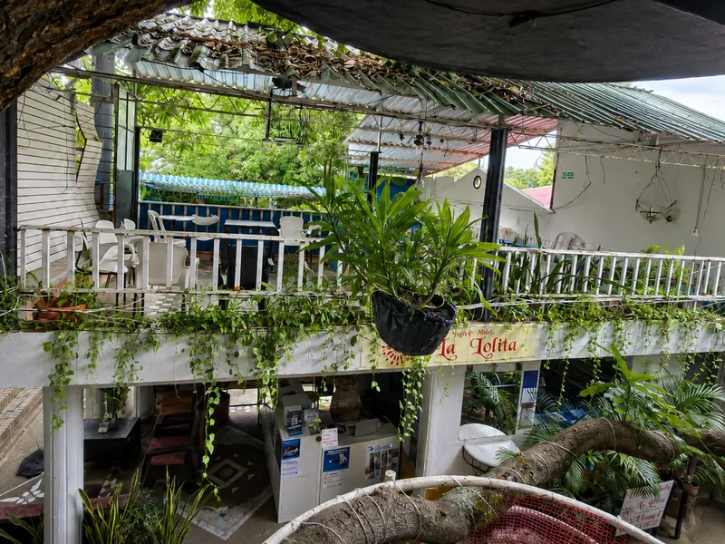 Vista del balcón con plantas